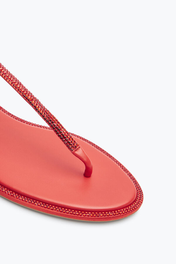joyas diana cristal rojo sandalia 10 rene caovilla