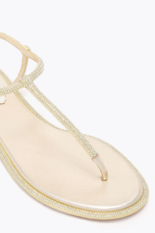 joyas diana limÓn amarillo sandalias con cristales de 10 rene caovilla