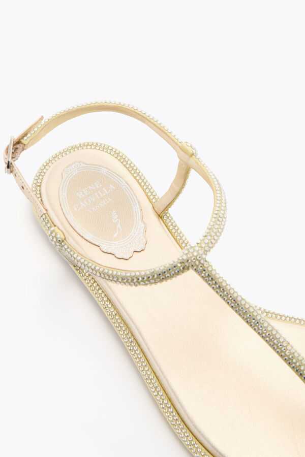 joyas diana limÓn amarillo sandalias con cristales de 10 rene caovilla