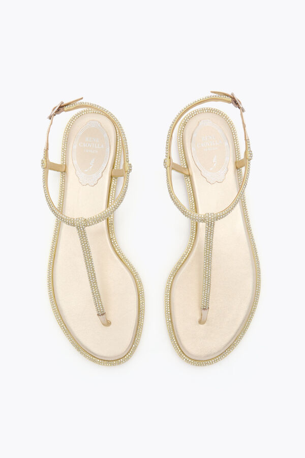 joyas diana limÓn amarillo sandalias con cristales de 10 rene caovilla