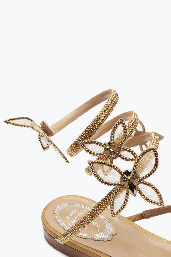 joyas butterflower de cristal de oro de la sandalia 10 rene caovilla